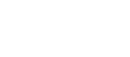 Shopify partner badge
