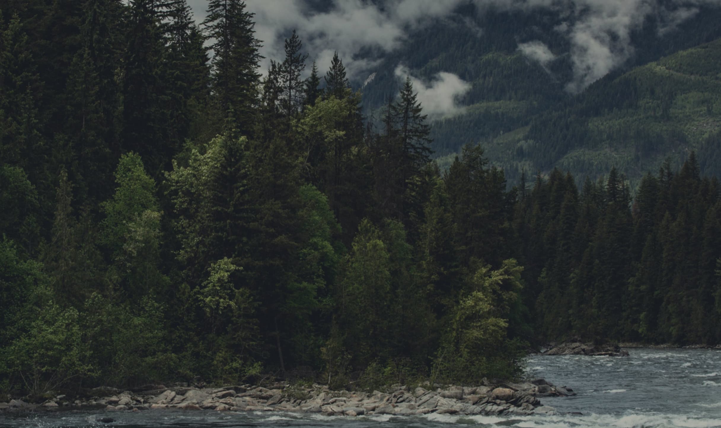 Emterra Environmental chooses typeof as their Shopify development partner