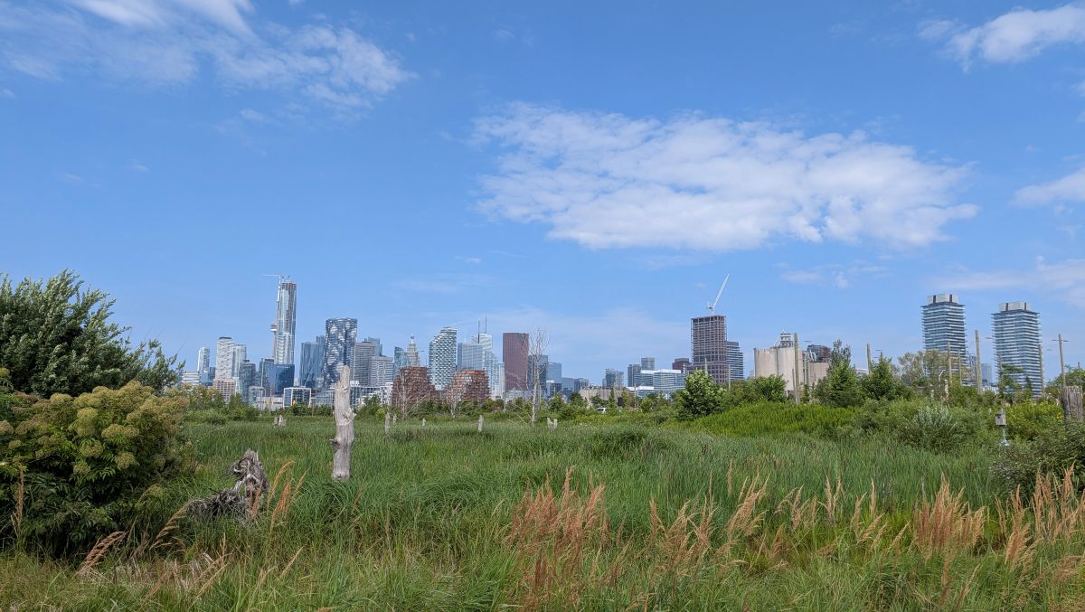Photo by typeof, of Toronto skyline from Biidsaasige Park